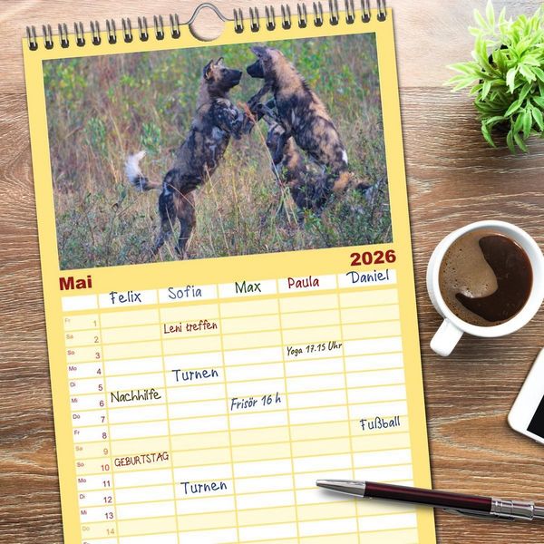 Produktbild: Familienplaner 2026 - S&uuml;dafrika - Big 5 und mehr mit 5 Spalten (Wandkalender, 21 x 45 cm) CALVENDO