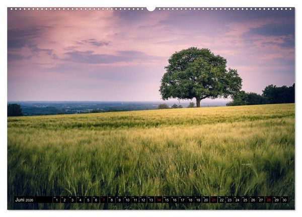 Produktbild: Das M&uuml;nsterland - Meine Impressionen (hochwertiger Premium Wandkalender 2026 DIN A2 quer), Kunstdruck in Hochglanz
