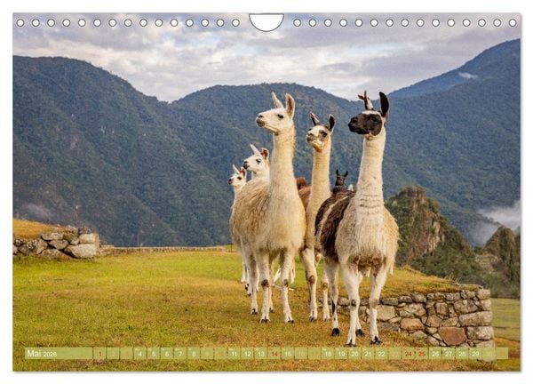 Produktbild: Peru - Bunte Vielfalt von Machu Picchu bis zur Atacama W&uuml;ste (Wandkalender 2026 DIN A4 quer), CALVENDO Monatskalender