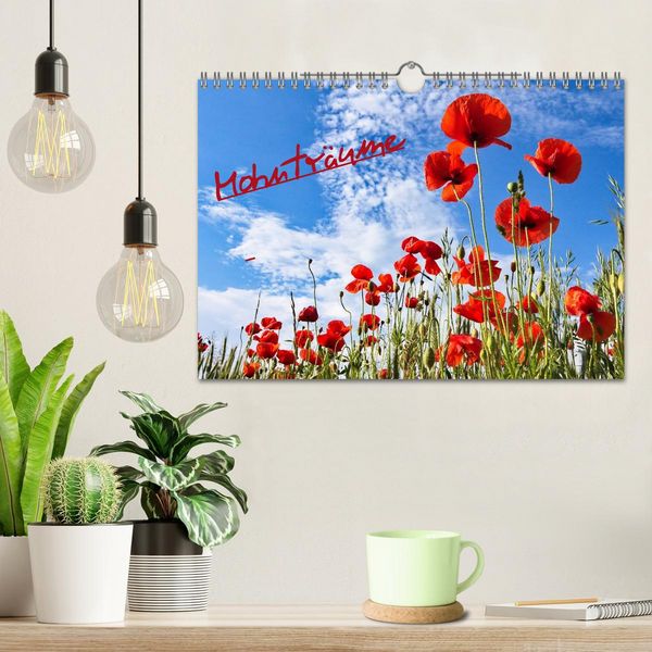 Produktbild: Mohntr&auml;ume (Wandkalender 2026 DIN A4 quer), CALVENDO Monatskalender
