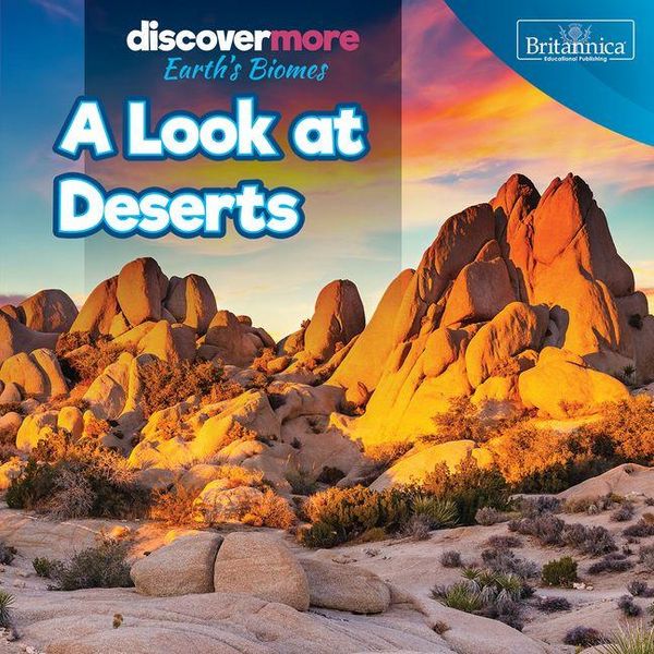 Produktbild: A Look at Deserts