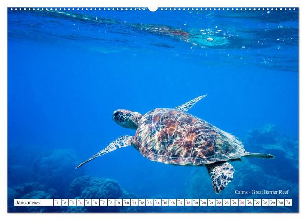 Produktbild: Australien Ostk&uuml;ste - von Cairns nach Sydney (Wandkalender 2026 DIN A2 quer), CALVENDO Monatskalender