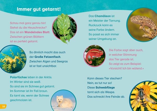 Produktbild: WAS IST WAS Erstes Lesen easy! Echt schlaue Tiere
