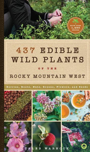 Produktbild: 437 Edible Wild Plants of the Rocky Mountain West