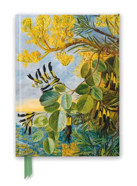 Produktbild: Premium Notizbuch DIN A5: Marianne North, Die Bl&uuml;ten des Flammenbaums &ndash; Kew Garden