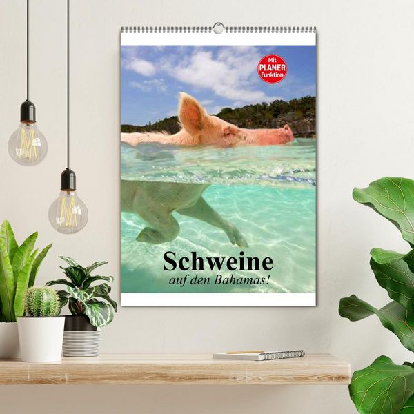 Produktbild: Schweine auf den Bahamas! (Wandkalender 2026 DIN A2 hoch), CALVENDO Monatskalender