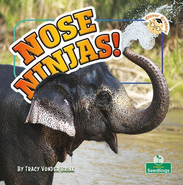 Produktbild: Nose Ninjas!