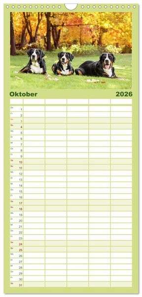 Produktbild: Familienplaner 2026 - Gro&szlig;e Schweizer - Gigantische Sennenhunde mit 5 Spalten (Wandkalender, 21 x 45 cm) CALVENDO