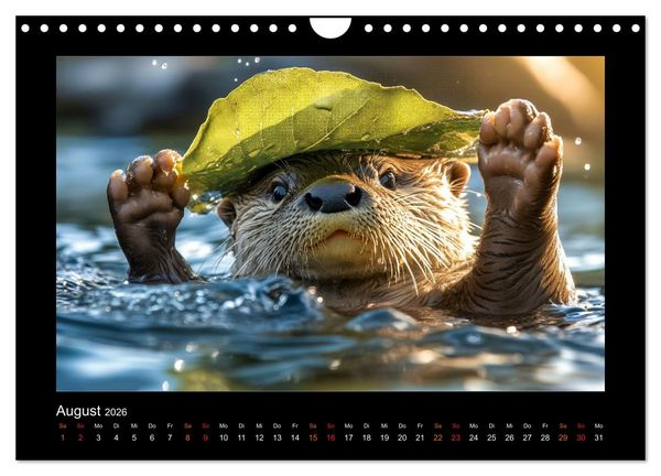 Produktbild: Wundervolle Augenblicke (Wandkalender 2026 DIN A4 quer), CALVENDO Monatskalender