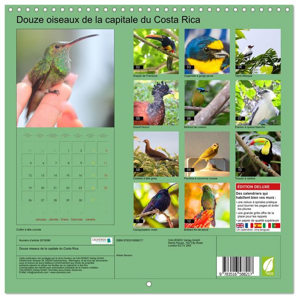 Produktbild: Douze oiseaux de la capitale du Costa Rica (Calendrier mural carr&eacute; 2026 30x30 cm) Calendrier double avec une page pour vos prises de notes