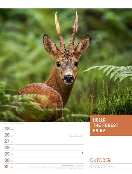 Produktbild: Tierisch Spr&uuml;chekalender Wochenplaner 2027