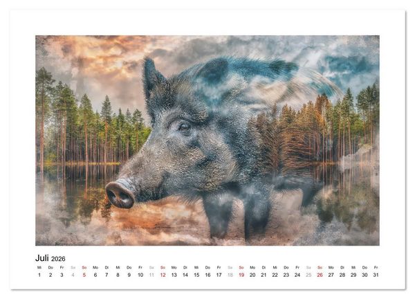 Produktbild: Tierisch wilde Waldbewohner (Wandkalender 2026 DIN A4 quer), CALVENDO Monatskalender
