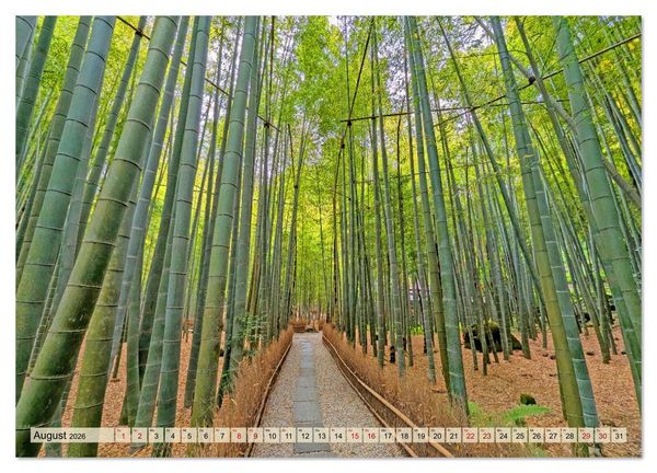 Produktbild: Japan entdecken Tokio, Osaka & mehr (Wandkalender 2026 DIN A4 quer), CALVENDO Monatskalender