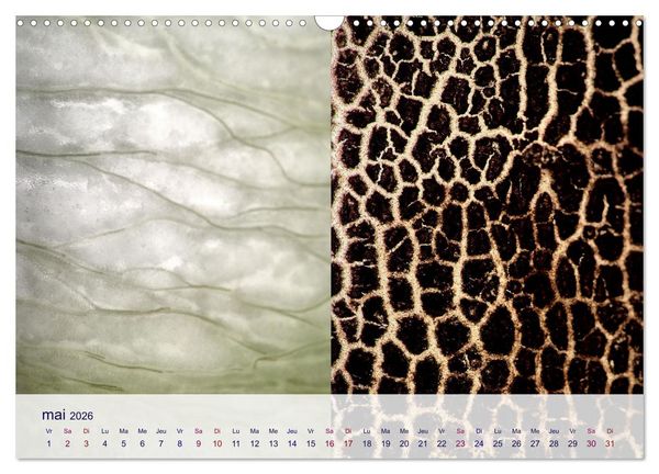 Produktbild: C&oelig;ur de fruits c&oelig;ur de l&eacute;gumes (Calendrier mural 2026 DIN A3 vertical), CALVENDO calendrier mensuel