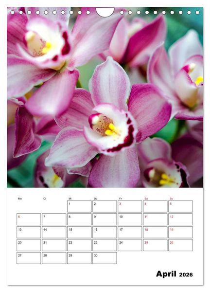 Produktbild: Orchideen - Tropische Sch&ouml;nheiten (Wandkalender 2026 DIN A4 hoch), CALVENDO Monatskalender