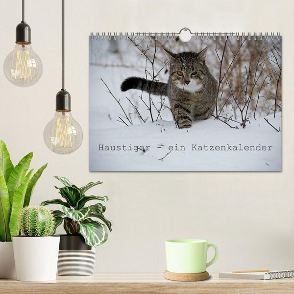 Produktbild: Haustiger - Ein Katzenkalender (Wandkalender 2026 DIN A4 quer), CALVENDO Monatskalender