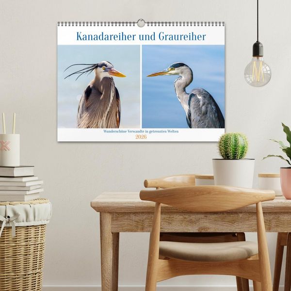 Produktbild: Kanadareiher und Graureiher (Wandkalender 2026 DIN A3 quer), CALVENDO Monatskalender