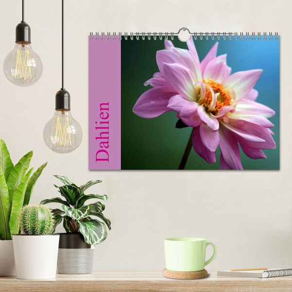 Produktbild: Dahlien (Wandkalender 2026 DIN A4 quer), CALVENDO Monatskalender
