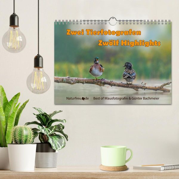 Produktbild: Zwei Tierfotografen Zw&ouml;lf Highlights (Wandkalender 2026 DIN A4 quer), CALVENDO Monatskalender