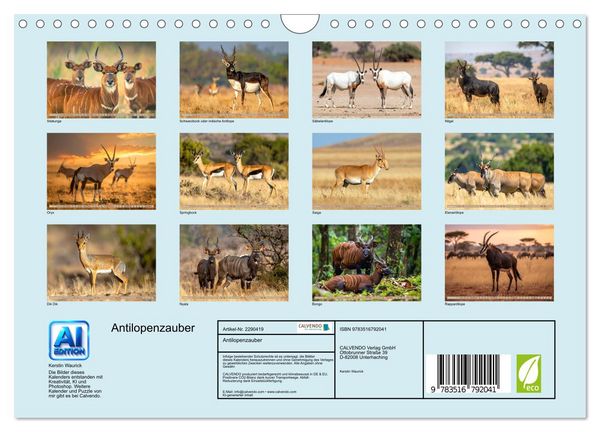 Produktbild: Antilopenzauber (Wandkalender 2027 DIN A4 quer), CALVENDO Monatskalender