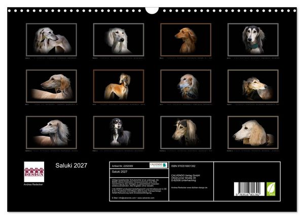 Produktbild: Saluki 2027 (Wandkalender 2027 DIN A3 quer), CALVENDO Monatskalender