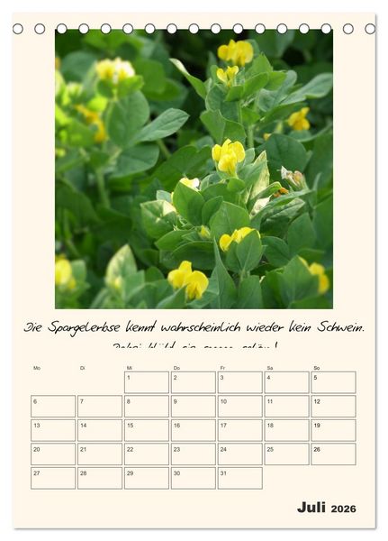 Produktbild: Gartengeschichten (Tischkalender 2026 DIN A5 hoch), CALVENDO Monatskalender
