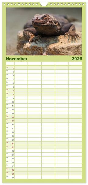 Produktbild: Familienplaner 2026 - Echsen - Schuppige &Uuml;berlebensk&uuml;nstler mit 5 Spalten (Wandkalender, 21 x 45 cm) CALVENDO