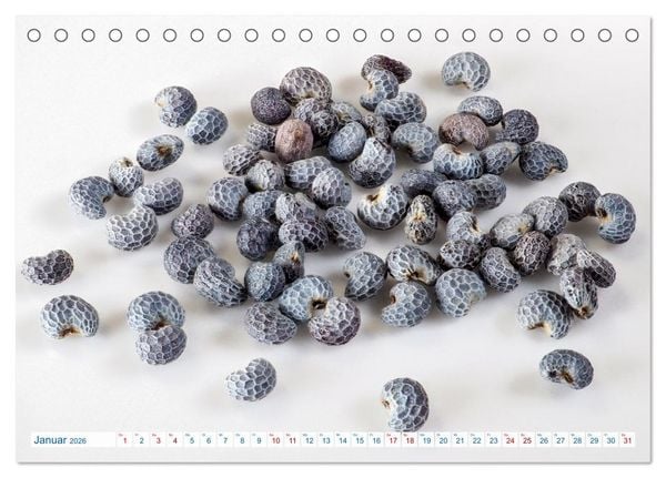Produktbild: Wundersch&ouml;ne Kleinigkeiten (Tischkalender 2026 DIN A5 quer), CALVENDO Monatskalender