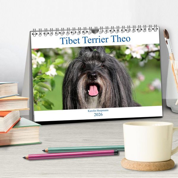 Produktbild: Tibet Terrier Theo (Tischkalender 2026 DIN A5 quer), CALVENDO Monatskalender