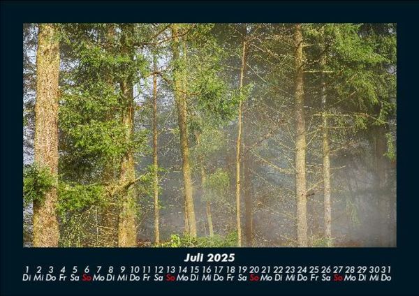 Produktbild: Waldzauber 2025 Fotokalender DIN A5