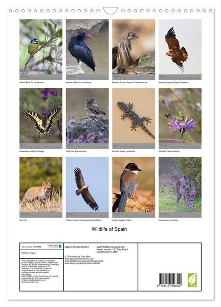 Produktbild: Wildlife of Spain (Wall Calendar 2026 DIN A3 portrait), CALVENDO 12 Month Wall Calendar