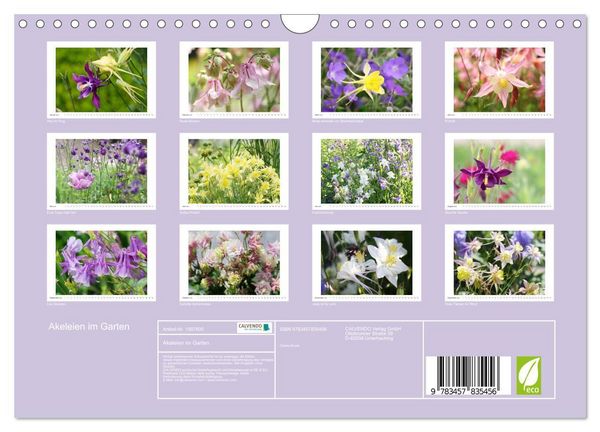 Produktbild: Akeleien im Garten (Wandkalender 2026 DIN A4 quer), CALVENDO Monatskalender