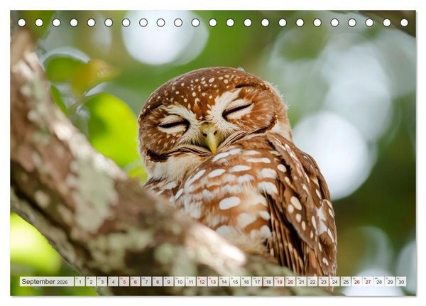 Produktbild: EULEN W&auml;chter des Waldes (Tischkalender 2026 DIN A5 quer), CALVENDO Monatskalender