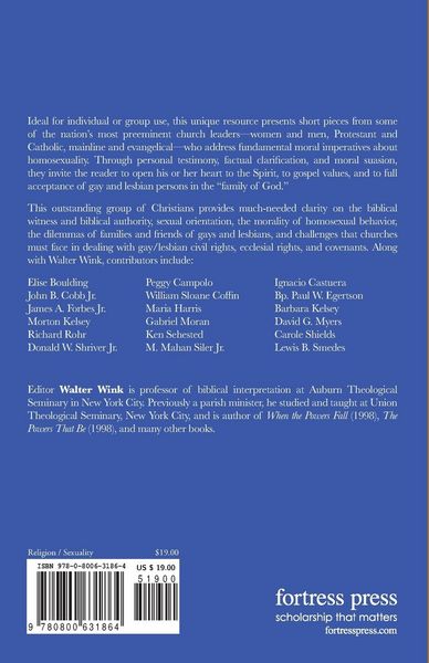 Produktbild: Homosexuality and Christian Faith