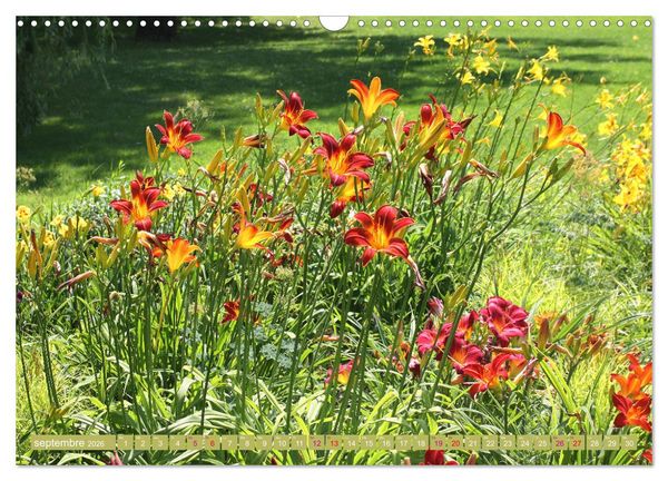 Produktbild: Lys d'un jour (Calendrier mural 2026 DIN A3 vertical), CALVENDO calendrier mensuel