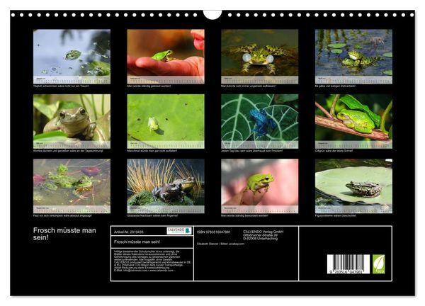 Produktbild: Frosch m&uuml;sste man sein! (Wandkalender 2026 DIN A3 quer), CALVENDO Monatskalender