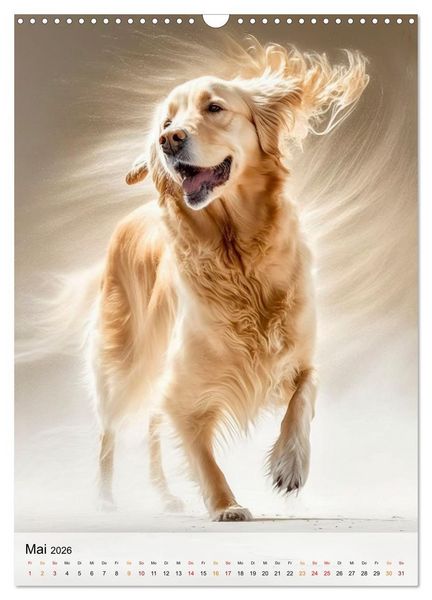 Produktbild: Golden Retriever - ein Hund f&uuml;r die Familie (Wandkalender 2026 DIN A3 hoch), CALVENDO Monatskalender