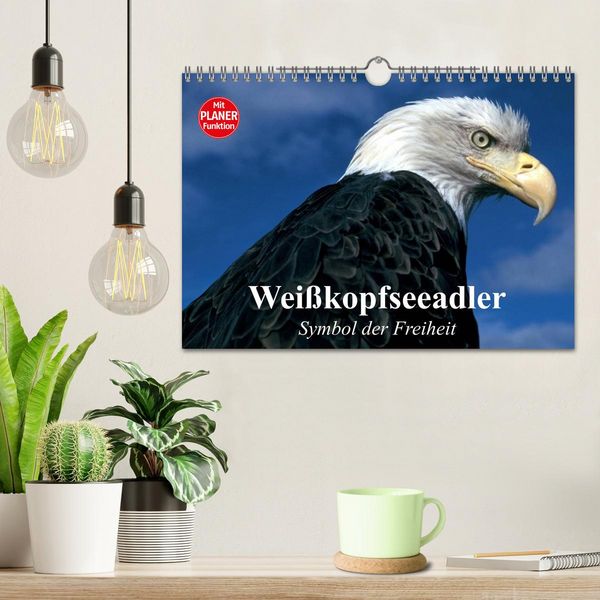 Produktbild: Wei&szlig;kopfseeadler. Symbol der Freiheit (Wandkalender 2026 DIN A4 quer), CALVENDO Monatskalender
