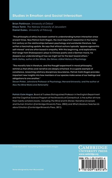 Produktbild: Literature and Moral Feeling