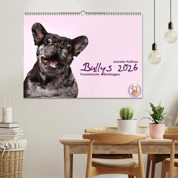 Produktbild: Bullys - Franz&ouml;sische Bulldoggen 2026 (Wandkalender 2026 DIN A2 quer), CALVENDO Monatskalender