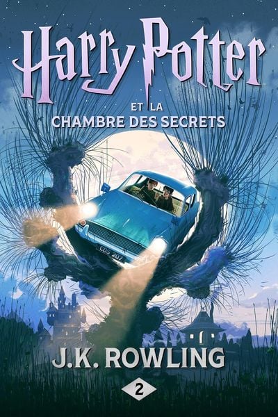 Harry Potter and the Chamber of Secrets alternative edition book cover