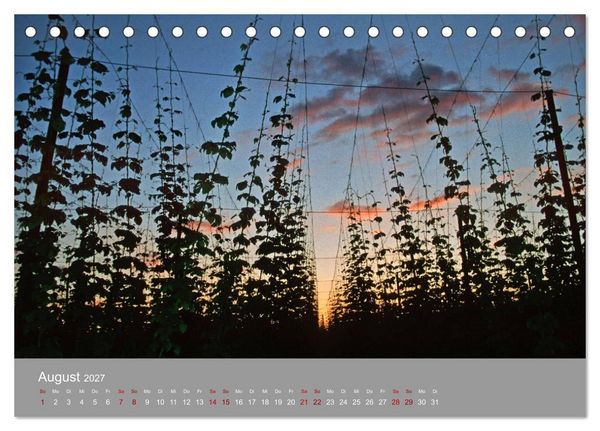 Produktbild: Hallertau (Tischkalender 2027 DIN A5 quer), CALVENDO Monatskalender