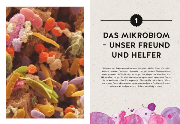 Abnehmen mit dem Darm