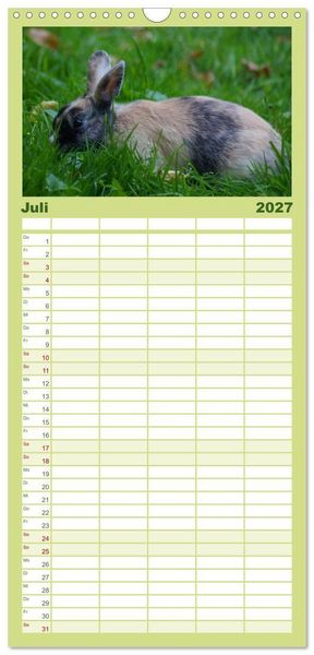 Produktbild: Familienplaner 2027 - Liebenswerte Zwergkaninchen mit 5 Spalten (Wandkalender, 21 x 45 cm) CALVENDO