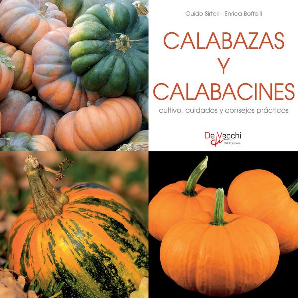 Produktbild: Calabazas y calabacines - cultivo, cuidados y condejos pr&aacute;cticos