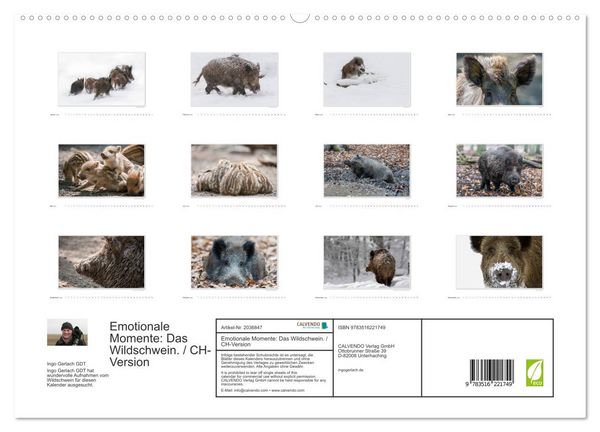 Produktbild: Emotionale Momente: Das Wildschwein. / CH-Version (hochwertiger Premium Wandkalender 2026 DIN A2 quer), Kunstdruck in Hochglanz