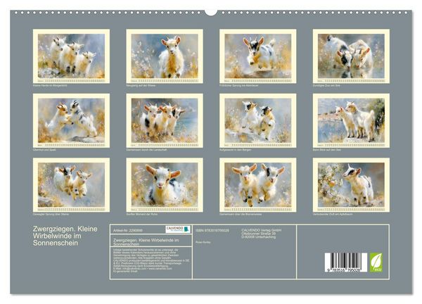 Produktbild: Zwergziegen. Kleine Wirbelwinde im Sonnenschein (hochwertiger Premium Wandkalender 2027 DIN A2 quer), Kunstdruck in Hochglanz