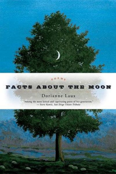 Produktbild: Facts about the Moon