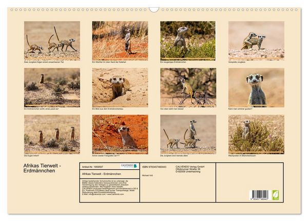 Produktbild: Afrikas Tierwelt - Erdm&auml;nnchen (Wandkalender 2026 DIN A2 quer), CALVENDO Monatskalender