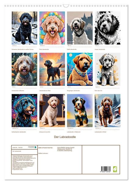 Produktbild: Der Labradoodle (Wandkalender 2026 DIN A2 hoch), CALVENDO Monatskalender